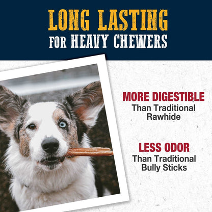 Cadet Bully Hide Sticks for Small, Medium and Large Dogs – All - Natural Beef Pizzle, High Protein, Low Fat, Long - Lasting, Grain & Rawhide - Free Dog Chews for Aggressive Chewers, Small (9 Count) - 768303705557