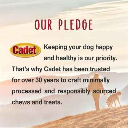 Cadet Bully Hide Sticks for Small, Medium and Large Dogs – All - Natural Beef Pizzle, High Protein, Low Fat, Long - Lasting, Grain & Rawhide - Free Dog Chews for Aggressive Chewers, Small (9 Count) - 768303705557
