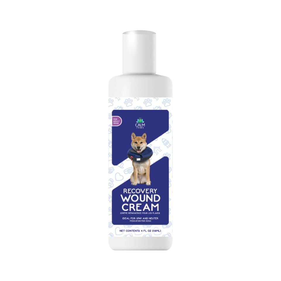 Calm paws remedies recovery wound cream for dogs 4oz bottle