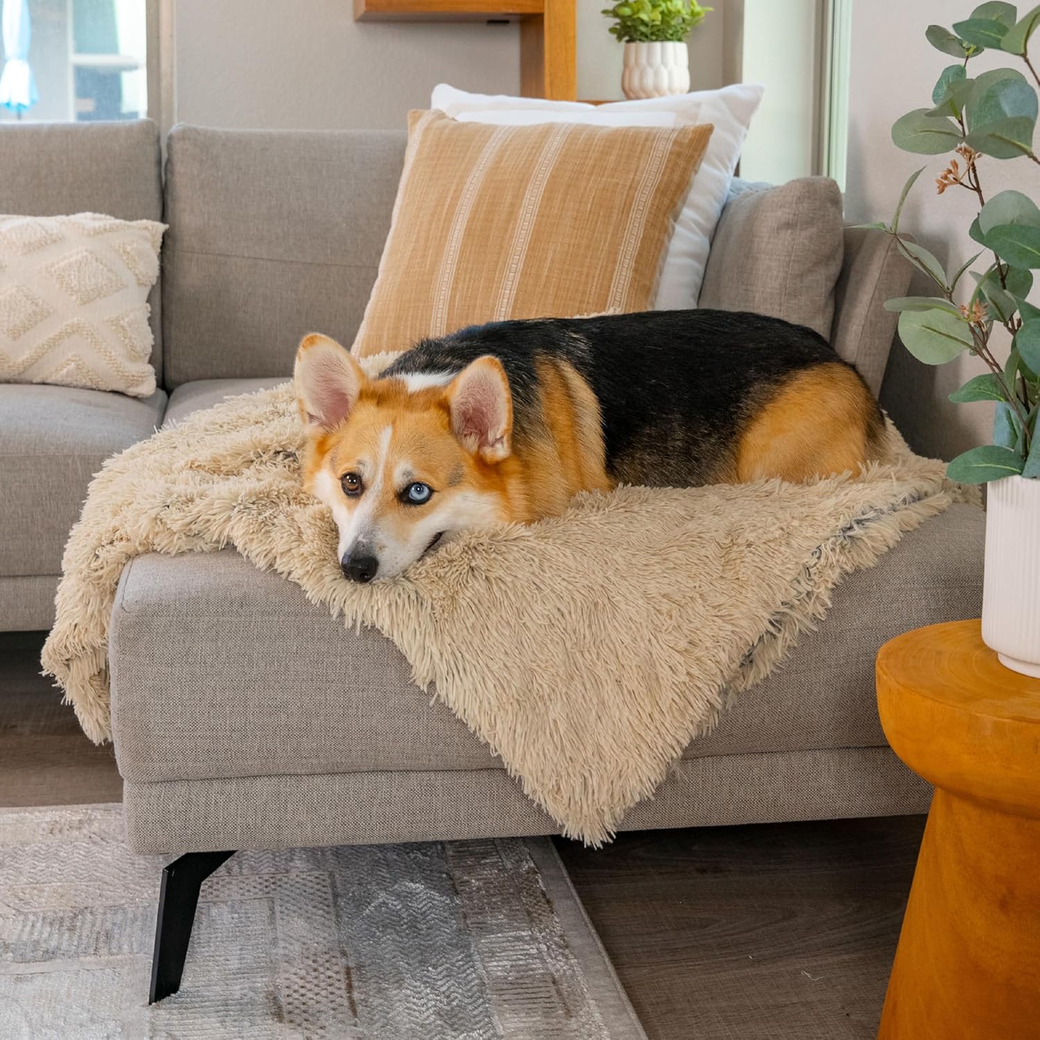 Calming shag blanket 30 x 40
