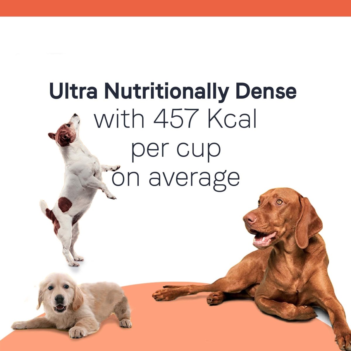 CANIDAE All Life Stages Lamb Meal & Rice Formula Dog Dry 27 Pound - 640461012305