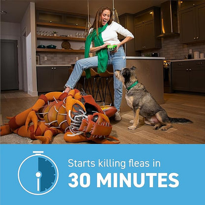 Capstar™ 2 - 25 Lb Dog Flea Treatment
