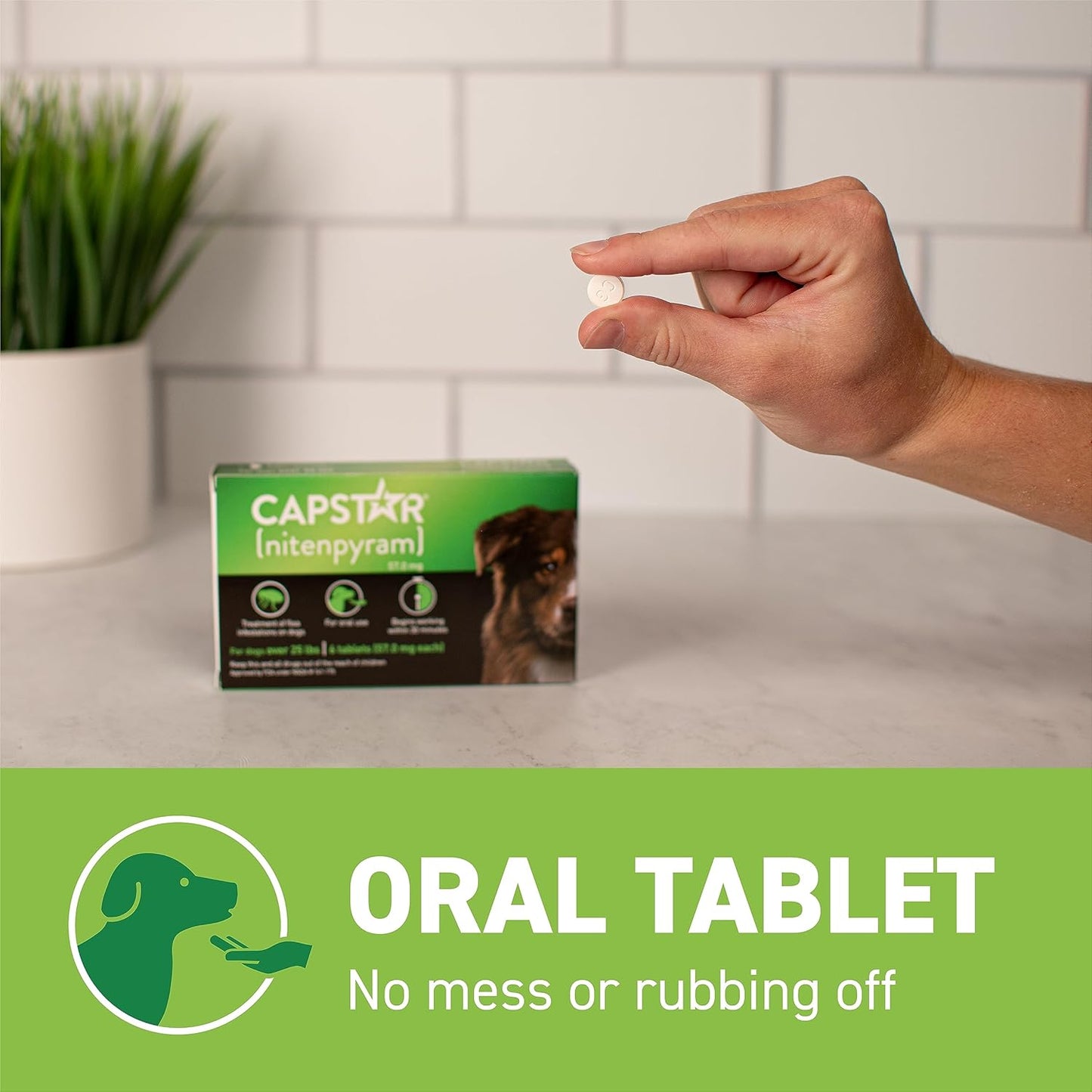 Capstar Flea Tablets for Dogs over 25 lbs., Count of 6