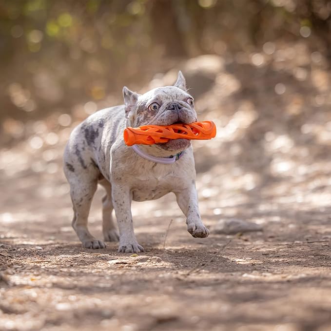 Chuck it air fetch stick