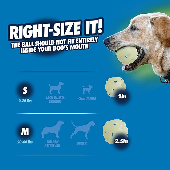 Chuck it air glow fetch ball medium