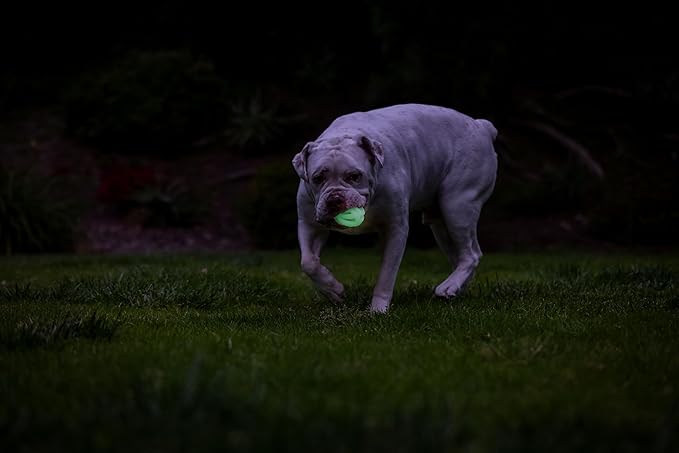 Chuck it air glow fetch ball medium