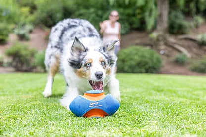 Chuck it giggle fumble fetch