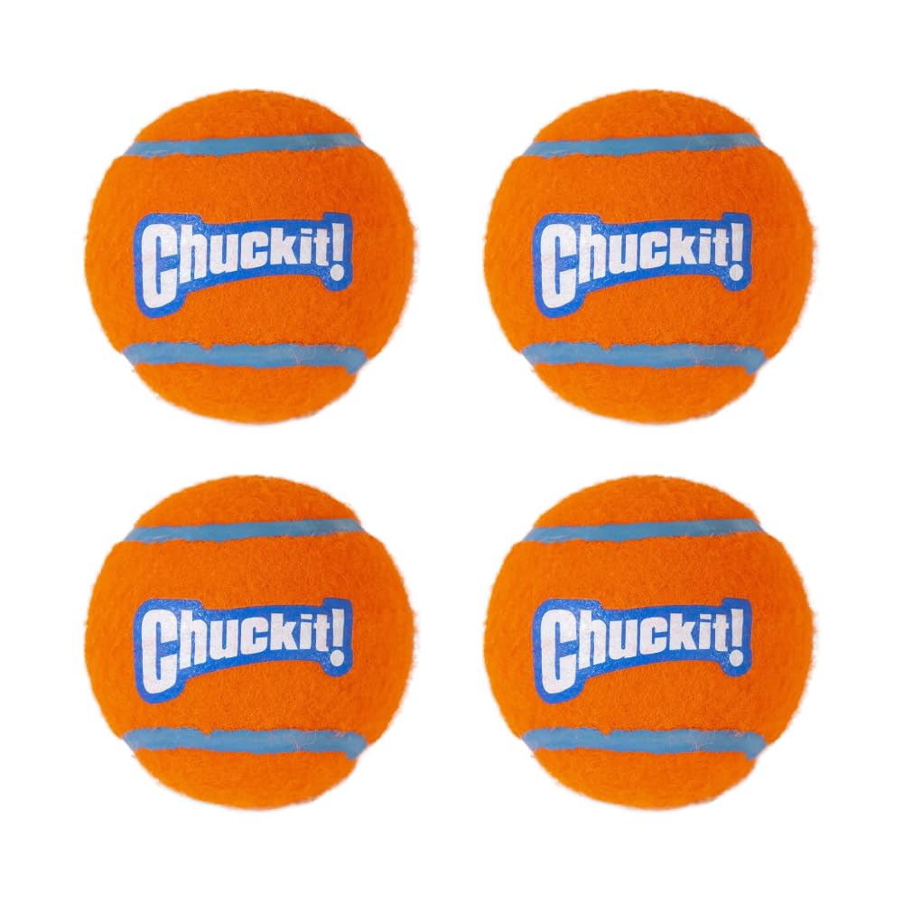 Chuckit Dog Tennis Ball Dog Toy, Medium (2.5 Inch Diameter) for dogs 20 - 60 lbs - 660048074045