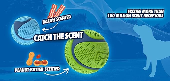 Chuckit sniff fetch ball medium sized 2 pack variety scented peanut butter & bacon