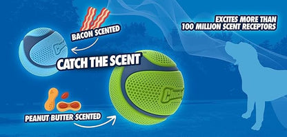 Chuckit sniff fetch ball medium sized 2 pack variety scented peanut butter & bacon