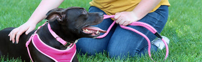 Coastal leash 4 pink