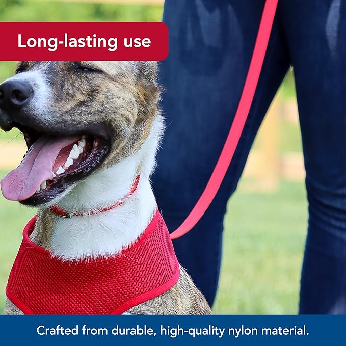 Coastal leash 4 red