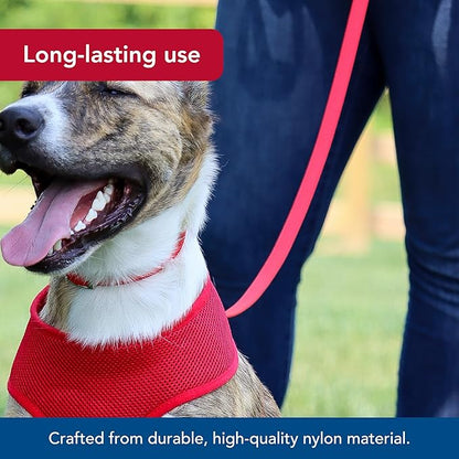 Coastal leash 4 red