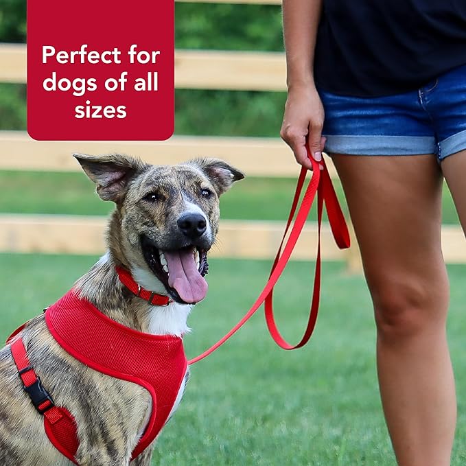 Coastal leash 4 red