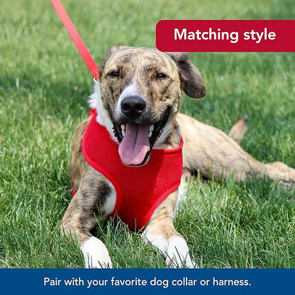 Coastal leash 4 red