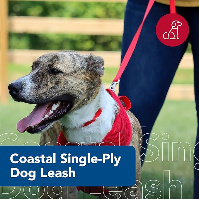 Coastal leash 4 red