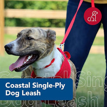 Coastal leash 4 red
