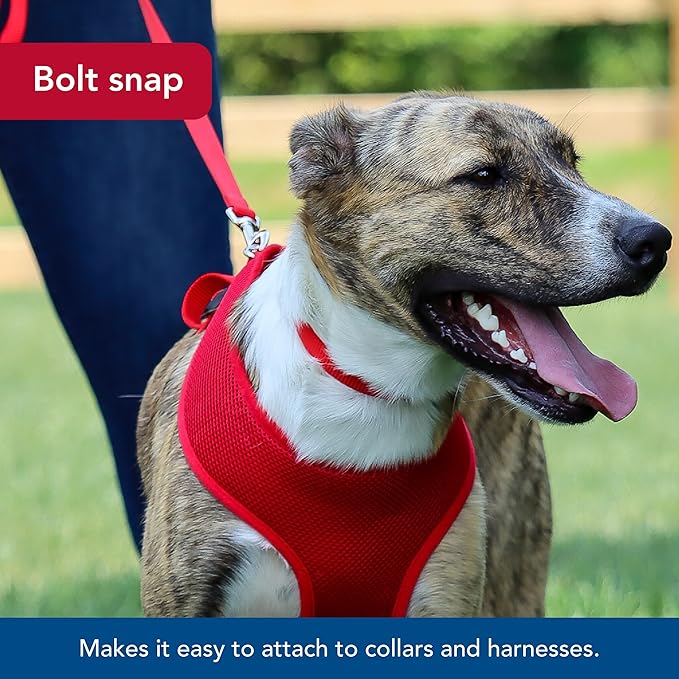 Coastal leash 4 red