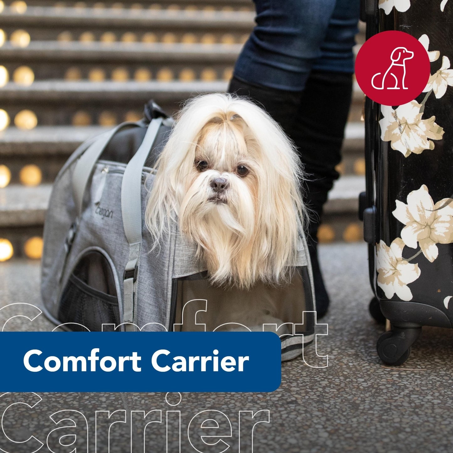 Coastal Pet Bergan Comfort Carrier - Safe and Comfortable for Dog & Cat Travel - Airline Friendly Soft and Breathable Carrier for Pet Owners - Heather Grey, 16" x 8" x 11"