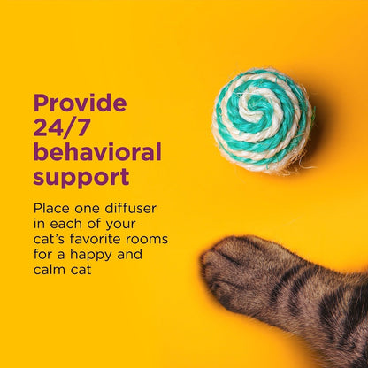 Comfort Zone 1 Refill Cat Calming Pheromone Diffuser Refill (30 Days) for a Calm Home | Veterinarian Recommended | De - Stress Your Cat and Reduce Spraying, Scratching, & Other Problematic Behaviors - 039079003537