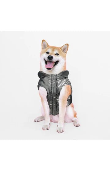 Cosmo puffy reversible coat dog apparel XL