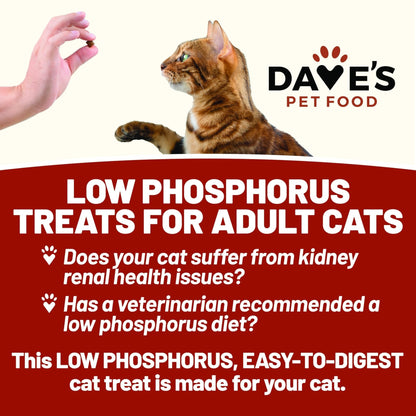 Dave's Pet Food Renal Cat Treats for Cat Kidney Support, Semi - Moist Healthy Treats with Kidney Support for Cats, Made in USA (1 Pack)
