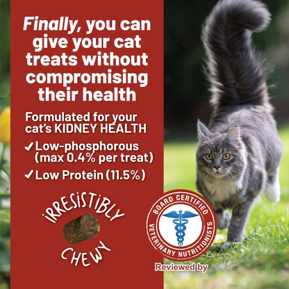 Dave's Pet Food Renal Cat Treats for Cat Kidney Support, Semi - Moist Healthy Treats with Kidney Support for Cats, Made in USA (1 Pack)