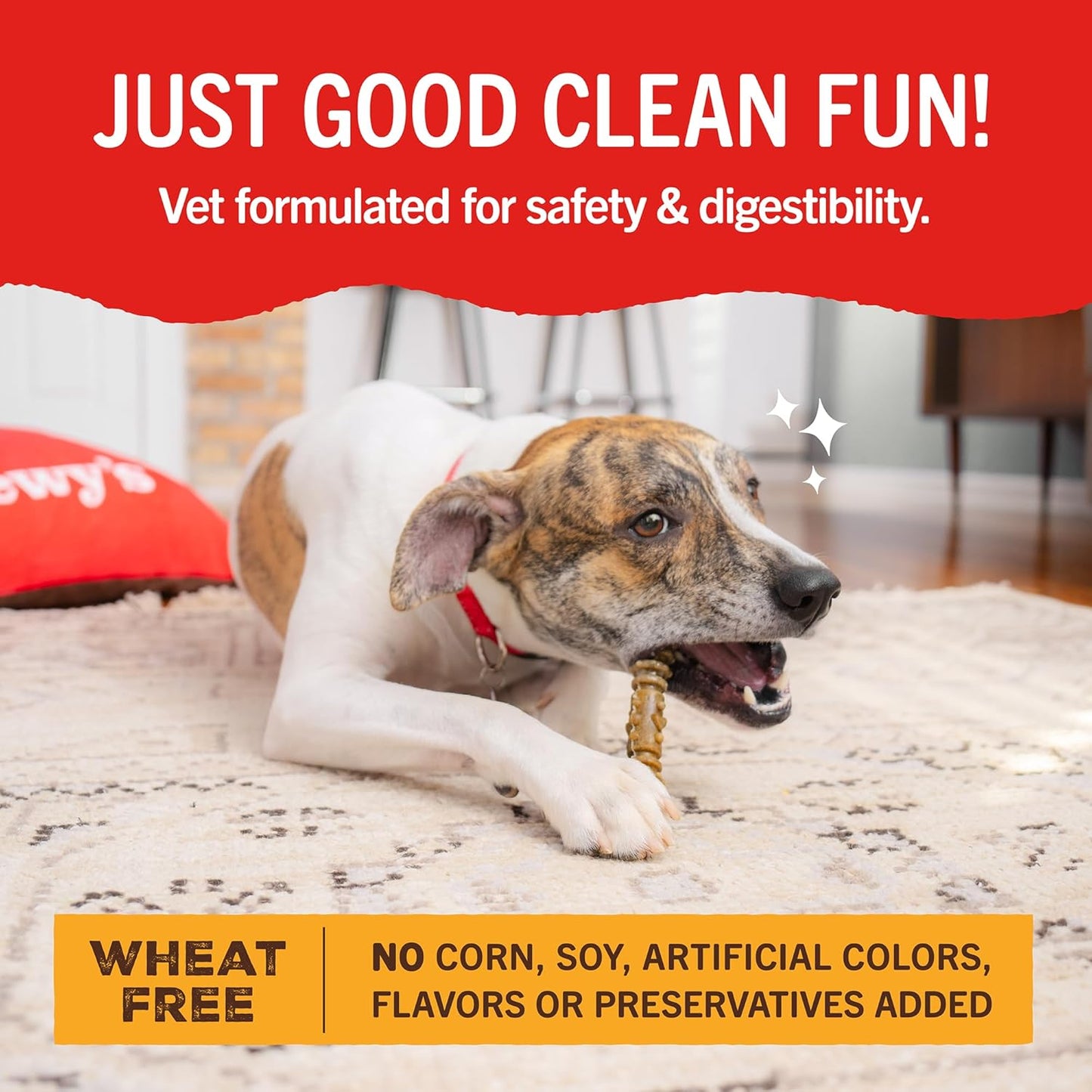 Dental delight Stella and Chewy’s 4 in 1 dental treats for dogs 17 large treats
