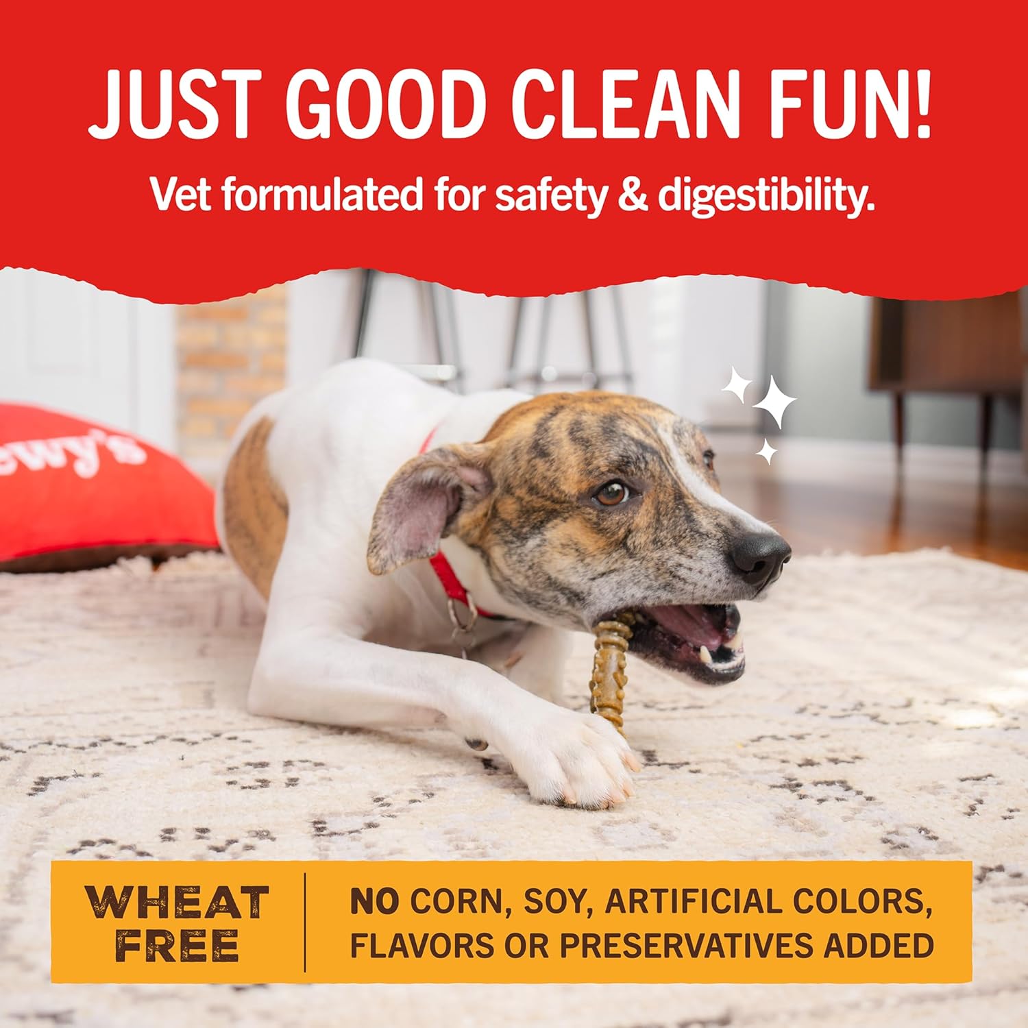 Dental delight Stella and Chewy’s 4 in 1 dental treats for dogs 17 large treats