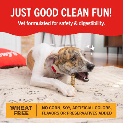Dental delight Stella and Chewy’s 4 in 1 dental treats for dogs 17 large treats