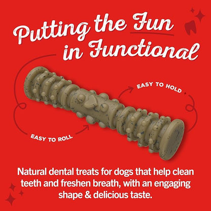 Dental delight Stella and Chewy’s 4 in 1 dental treats for dogs 17 large treats