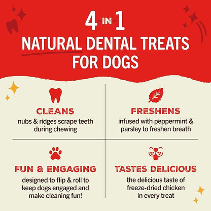 Dental delights fun and functional cleaning treats Stella and Chewy’s 4 in 1 large dental treats for dogs