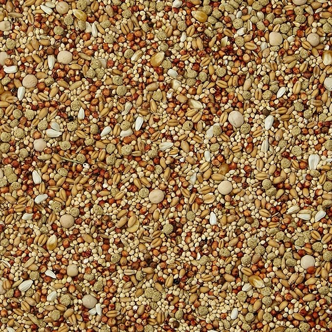 Dove food