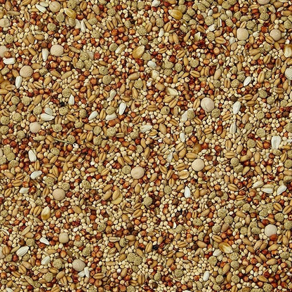 Dove food