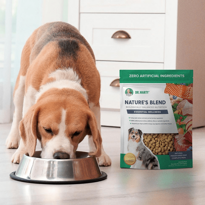 Dr. Marty healthy digestion 48 oz