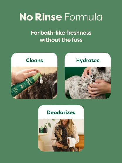 Earth rated white tea & basil no rinse dog shampoo 7oz dog shampoo