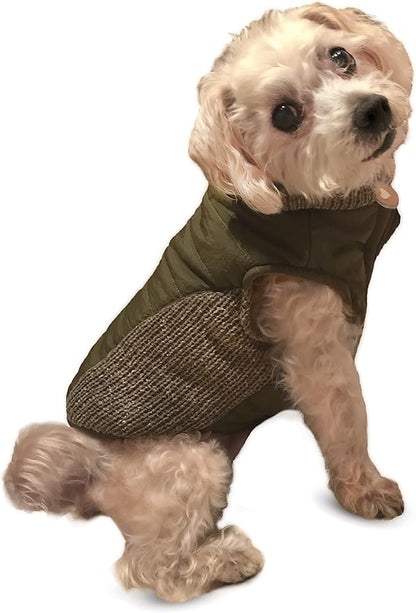 Fashion pet coat dog coat reversible puffy coat olive medium