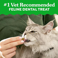 Feline greenies dental treats catnip flavor 9.75 oz