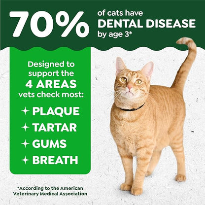 Feline greenies dental treats catnip flavor 9.75 oz