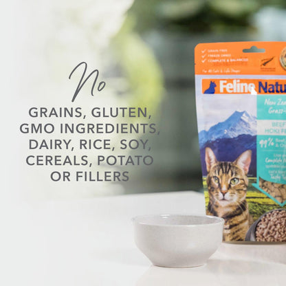Feline natural New Zealand beef and hoki feast feed or top cat food 3.5 oz