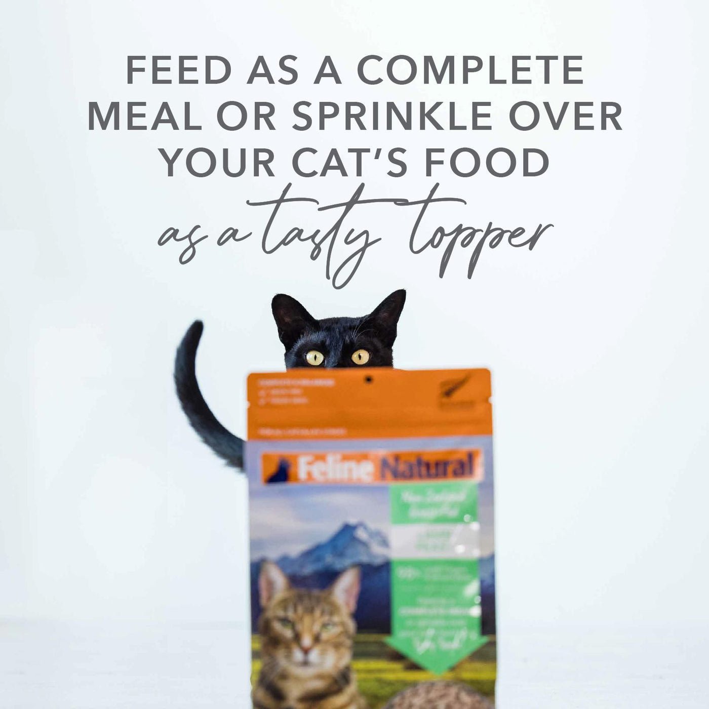 Feline natural New Zealand beef and hoki feast feed or top cat food 3.5 oz