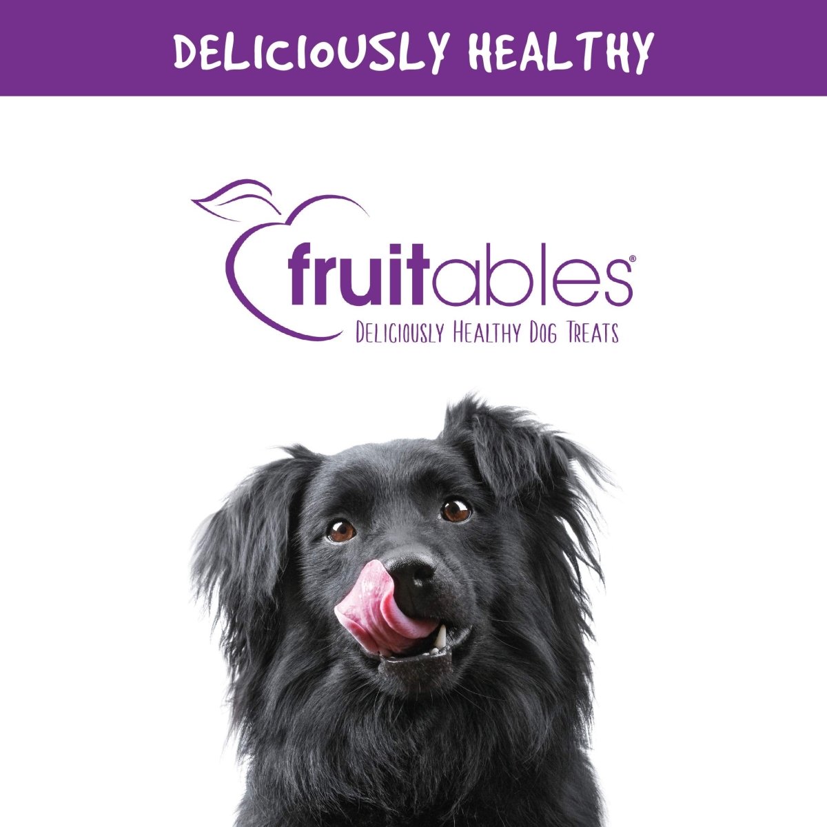 Fruitable Wildly Natural Cat Treats - Salmon Flavor - 2.5 Ounces - pellet food - 852763006207