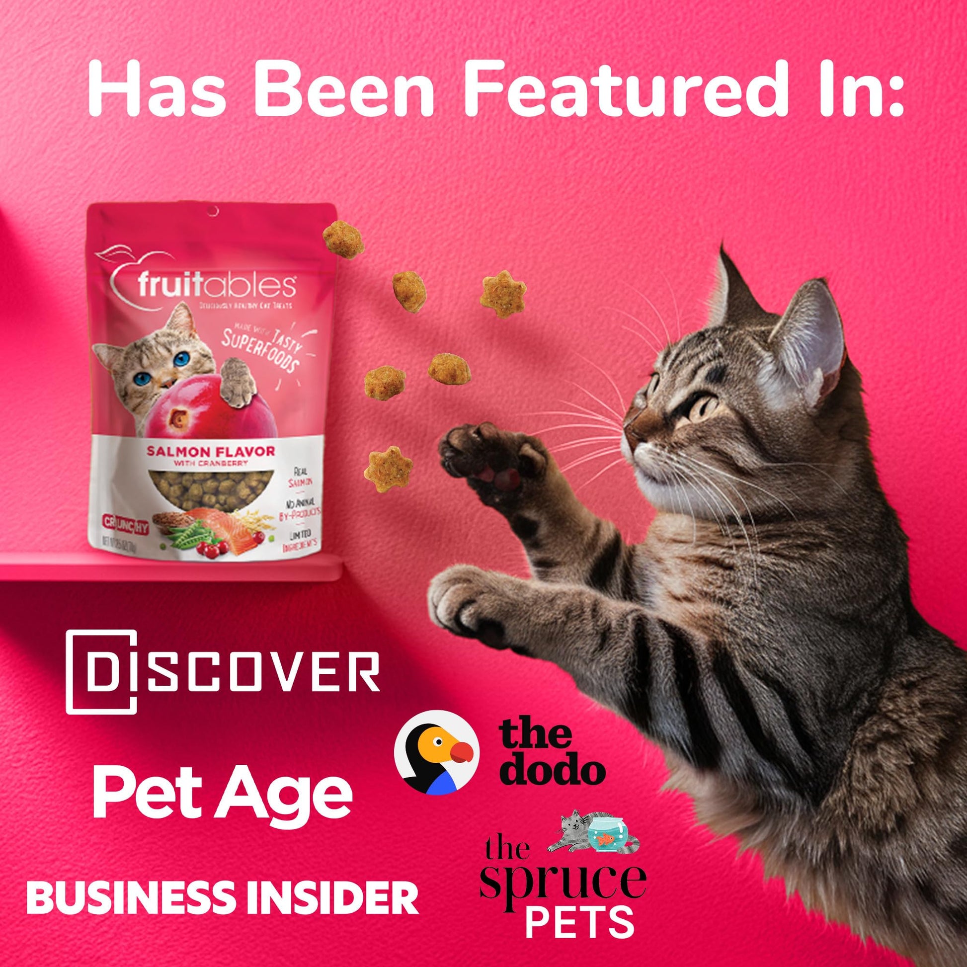 Fruitables Cat Crunchy Treats For Cats – Healthy Low Calorie Packed With Protein Free Of Wheat, Corn And Soy – Made With Real Salmon With Cranberry – 2.5 Ounces