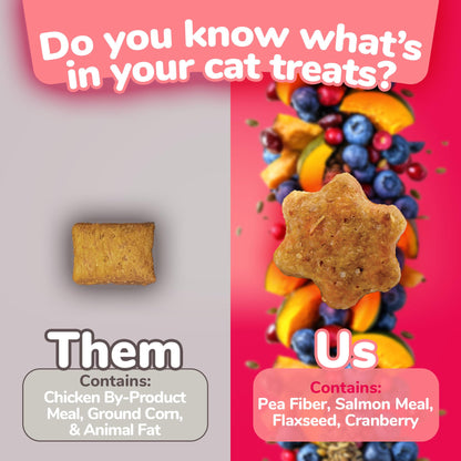Fruitables Cat Crunchy Treats For Cats – Healthy Low Calorie Packed With Protein Free Of Wheat, Corn And Soy – Made With Real Salmon With Cranberry – 2.5 Ounces