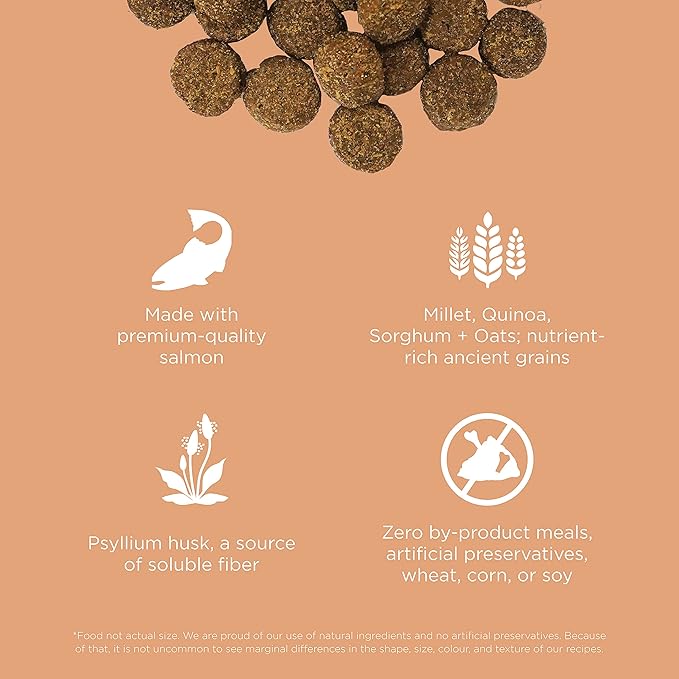 Go solutions digestion gut health salmon recipe with ancient grains 3.5 lbs