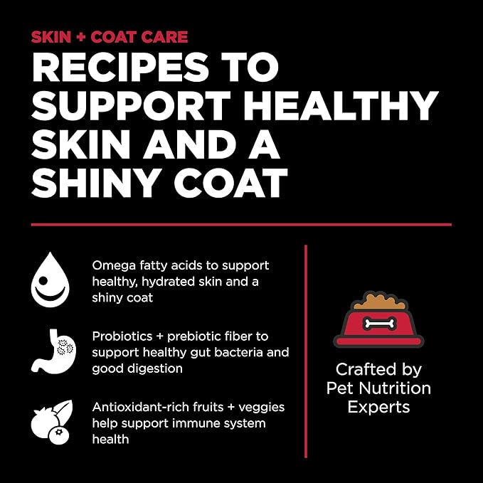 Go solutions skin and coat care lamb recipe 3.5lb dog food