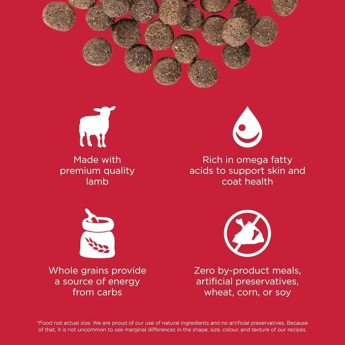 Go solutions skin and coat care lamb recipe 3.5lb dog food