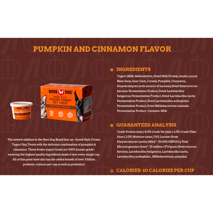 Greek style frozen pet treat pumpkin and cinnamon