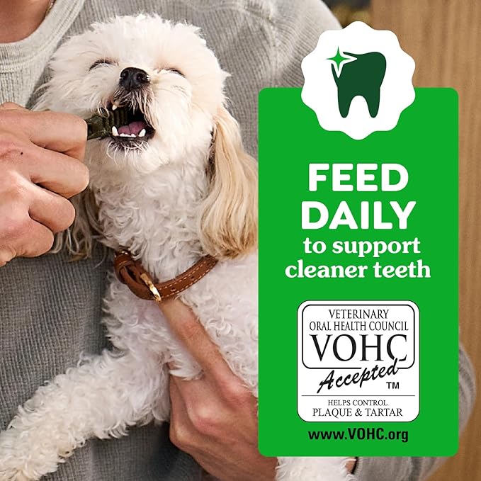 Greenies dental treats puppy 6 months 6 oz