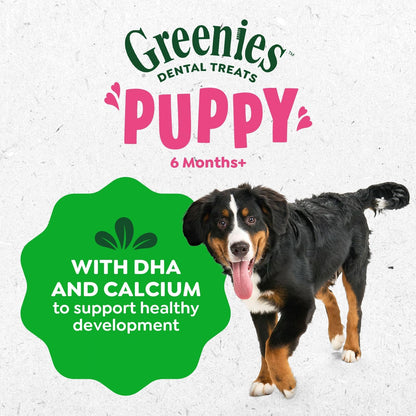 Greenies dental treats puppy 6 months 6 oz